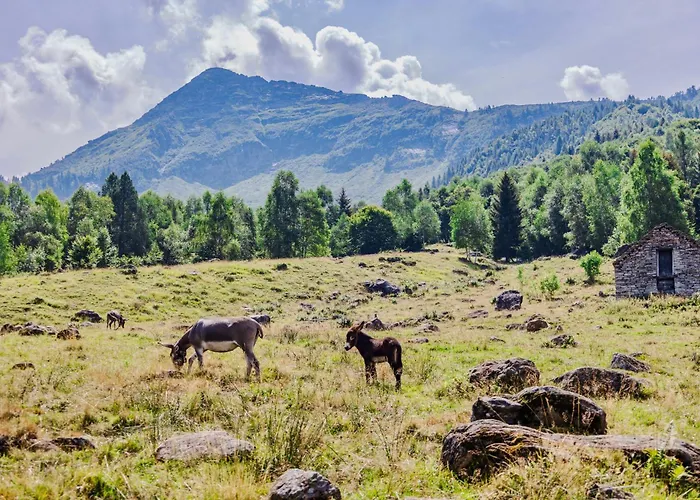 Hostel Rifugio Parpinasca *